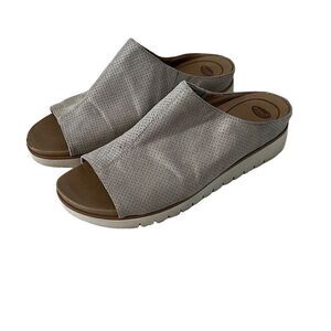 Dr. Scholl’s Slides